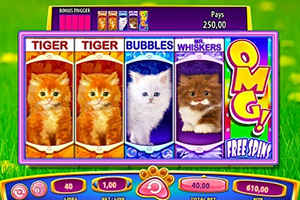 OMG!_Kittens_Online_Slot_from_WMS_Gaming