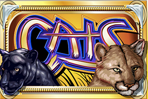 Cats_Online_Video_Slot_from_IGT