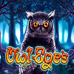 Owl Eyes Online Slot from NextGen