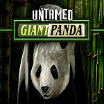 Untamed Giant Panda Mobile Slot