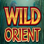 Wild Orient Online Slot