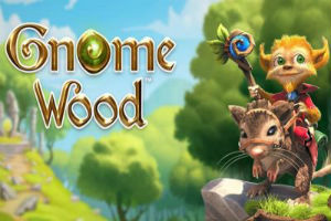 Gnome_Wood_Slot