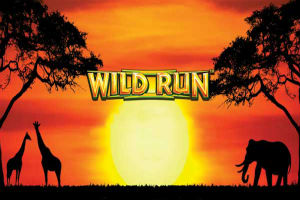 Wild Run Slot