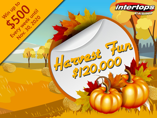 Participate in the $120,000 Harvest Fun Contest at Intertops Casino